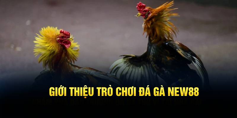 Giới thiệu trò chơi đá gà New88